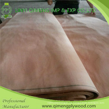 Chapa facial Okoume de primer grado con 1280X2500X0.15-0.5mm